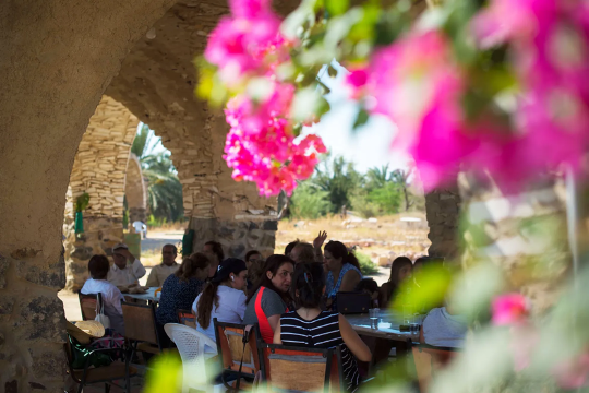 Peace Wadi Agrotourism
