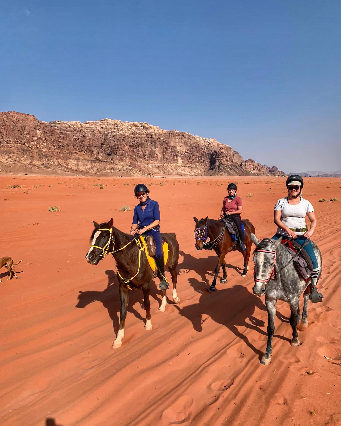 Horse Riding in the Desert