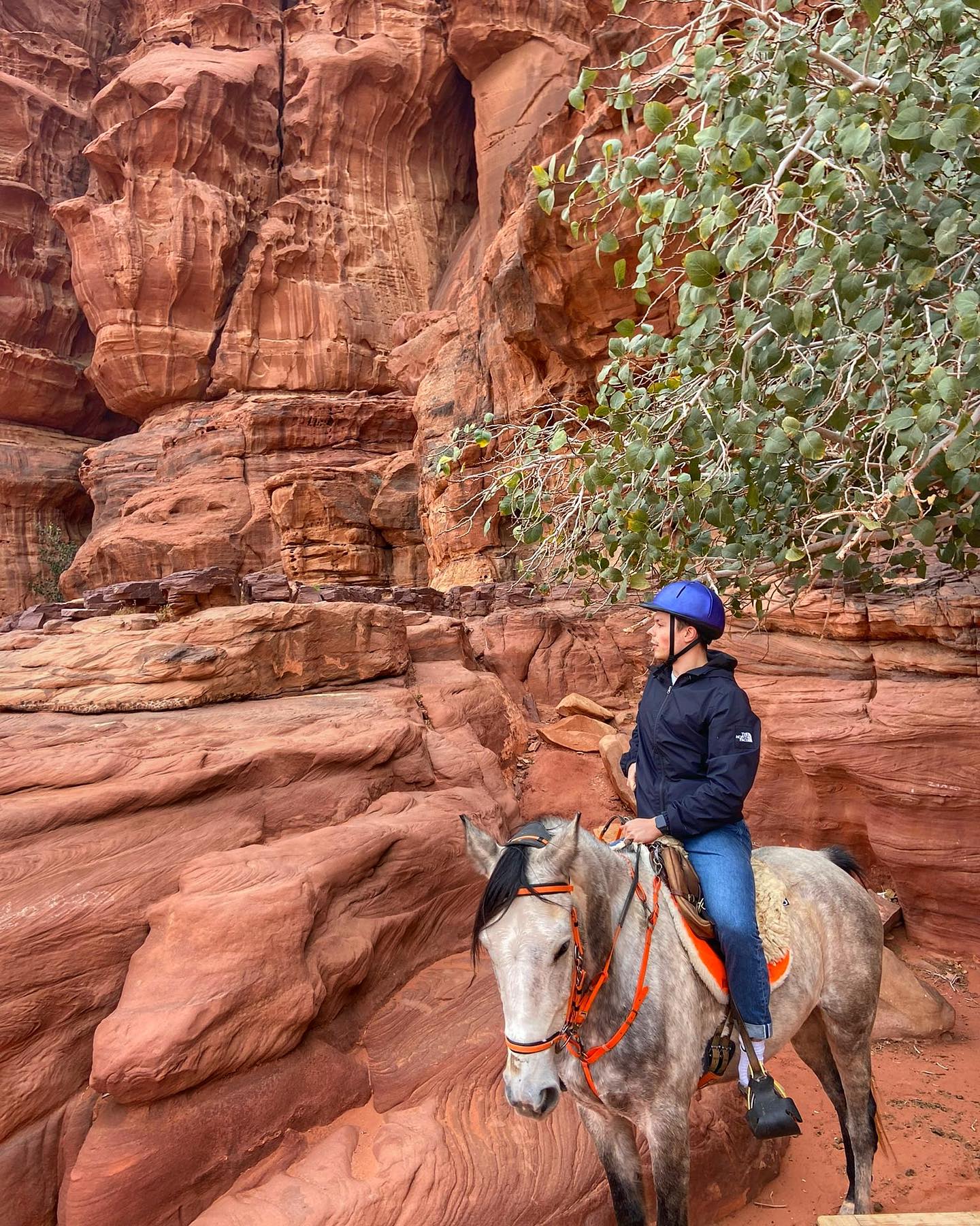 Horse Riding in the Desert