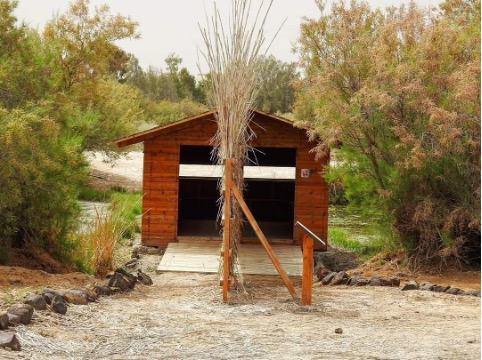 Water Buffalo Trail